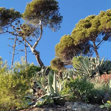 Presqu'il De St Mandrier Sur Location Saisonnières * Saint-Mandrier-sur-Mer